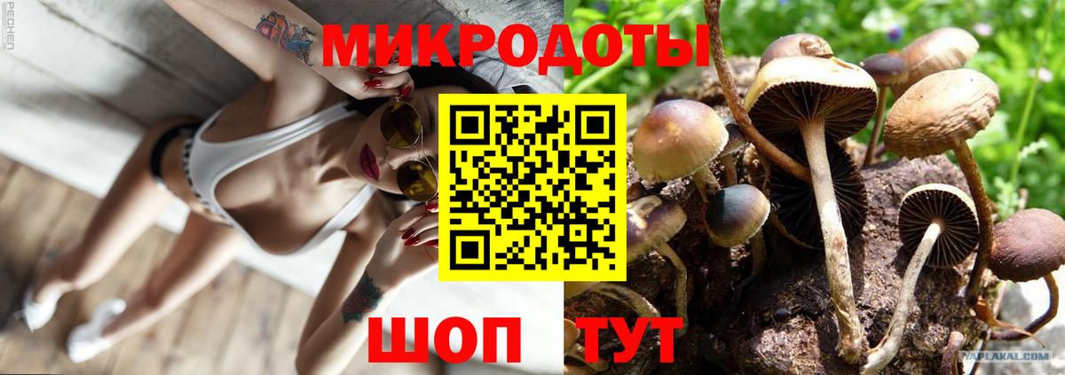 Красногорск  Галлюциногенные грибы Psilocybine cubensis  Вход с VPN  Галлюциногенные грибы MAGIC MUSHROOMS 